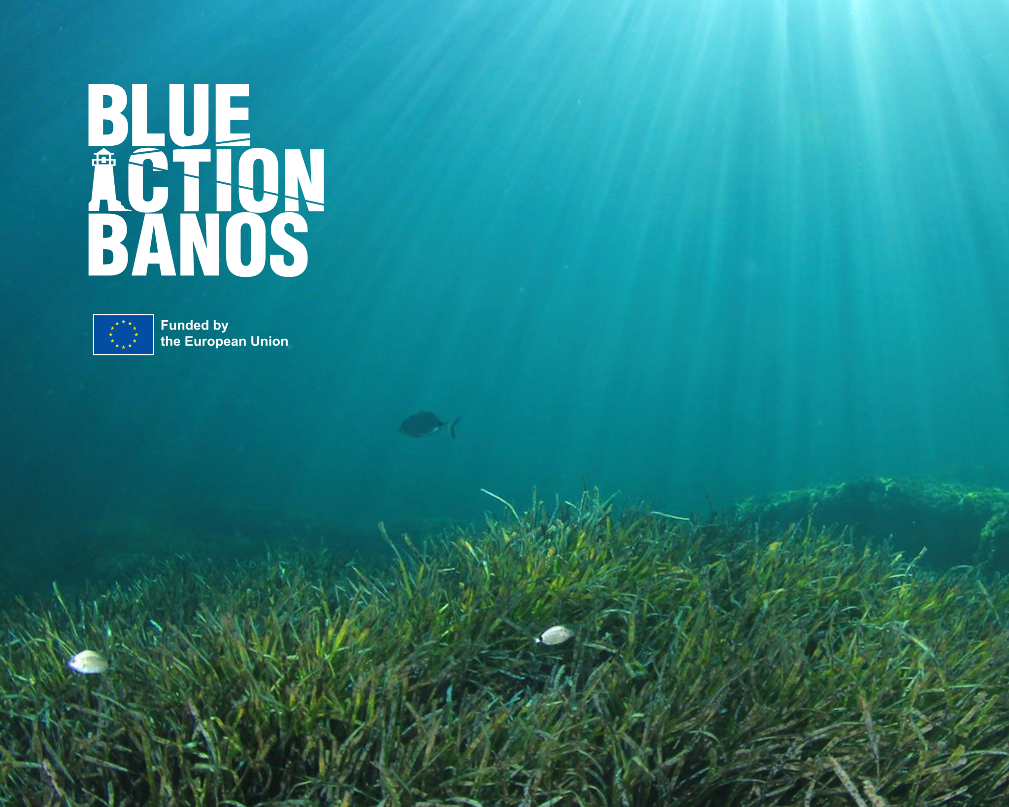 Information Webinar for Latvian Initiatives on BlueActionBANOS Funding ...